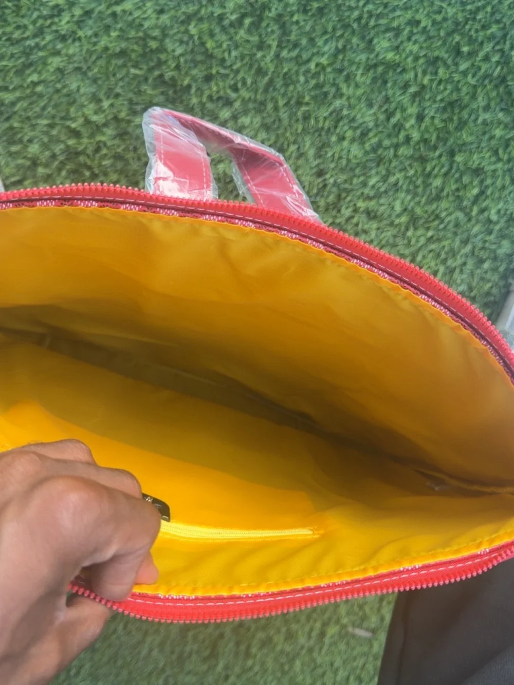 Goyard Red Patterned Backpack Tote